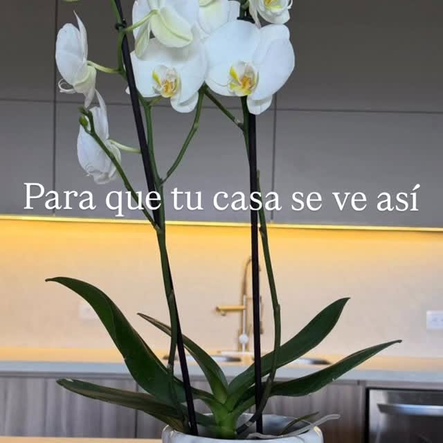 Regalos con Intención: Cuándo Elegir un Arreglo Preservado